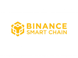 binance smart chain development