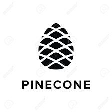 pinecone development
